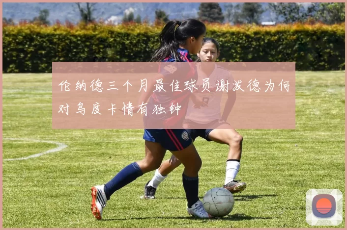 伦纳德三个月最佳球员谢泼德为何对乌度卡情有独钟