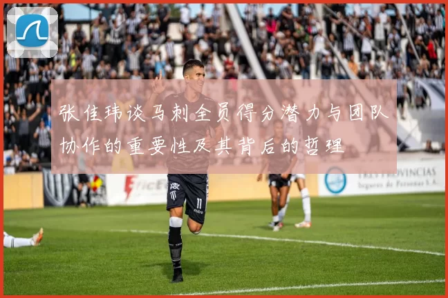 张佳玮谈马刺全员得分潜力与团队协作的重要性及其背后的哲理